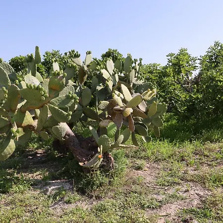 Masseria Carlini *